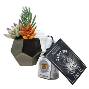 Bath and Body Works Geo Succulent Nightlight Wallflowers Fragrance Plug